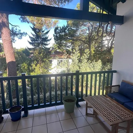 Appartement T2 Calme, Lumineux, Entre Océan Et Forêt *