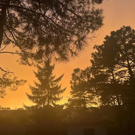 T2 Calme, Lumineux, Entre Océan Et Forêt * Anglet