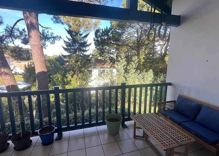 Appartement T2 Calme, Lumineux, Entre Océan Et Forêt *