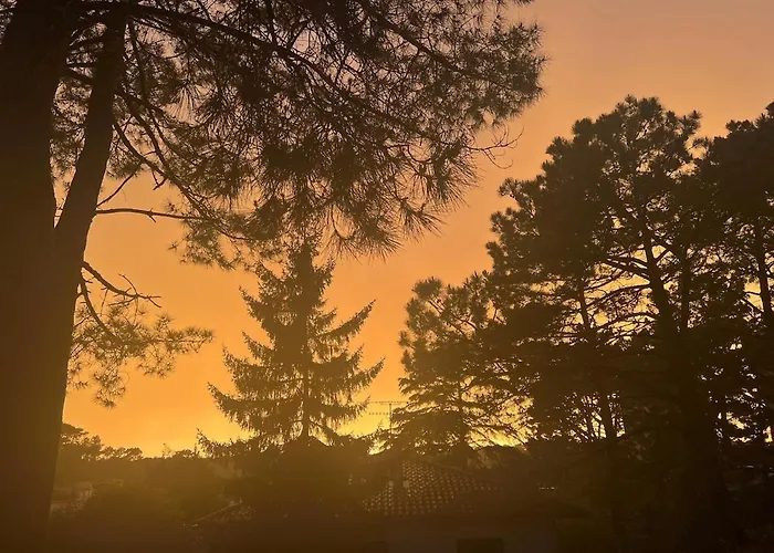 T2 Calme, Lumineux, Entre Océan Et Forêt * Anglet